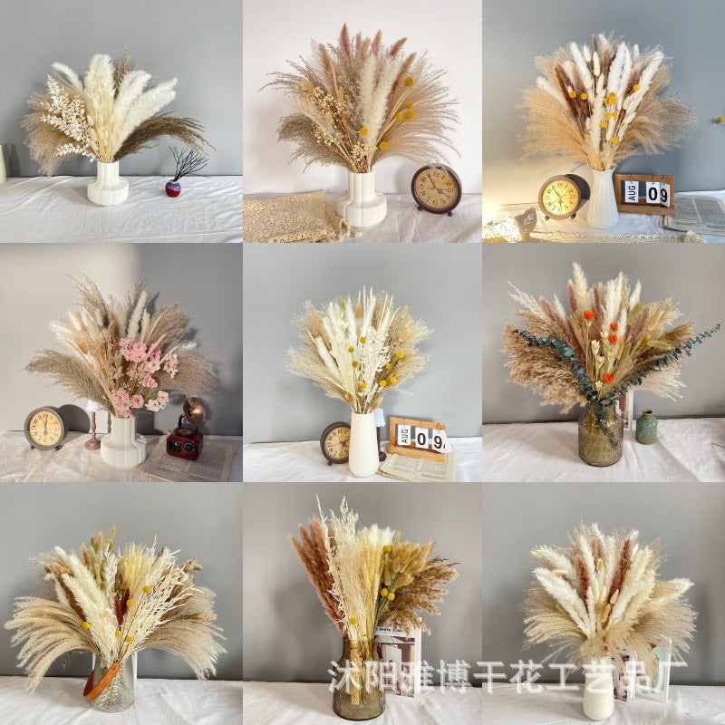 Pampas Dried Flower Bouquet Decoration Shooting Props