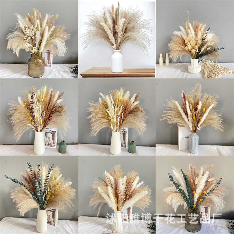 Pampas Dried Flower Bouquet Decoration Shooting Props
