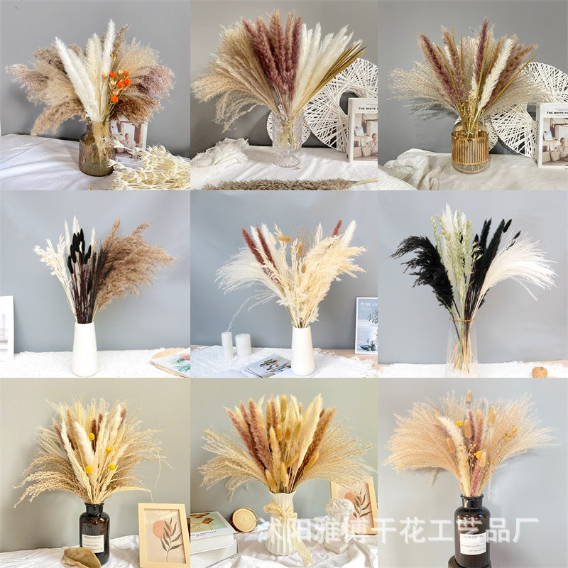 Pampas Dried Flower Bouquet Decoration Shooting Props