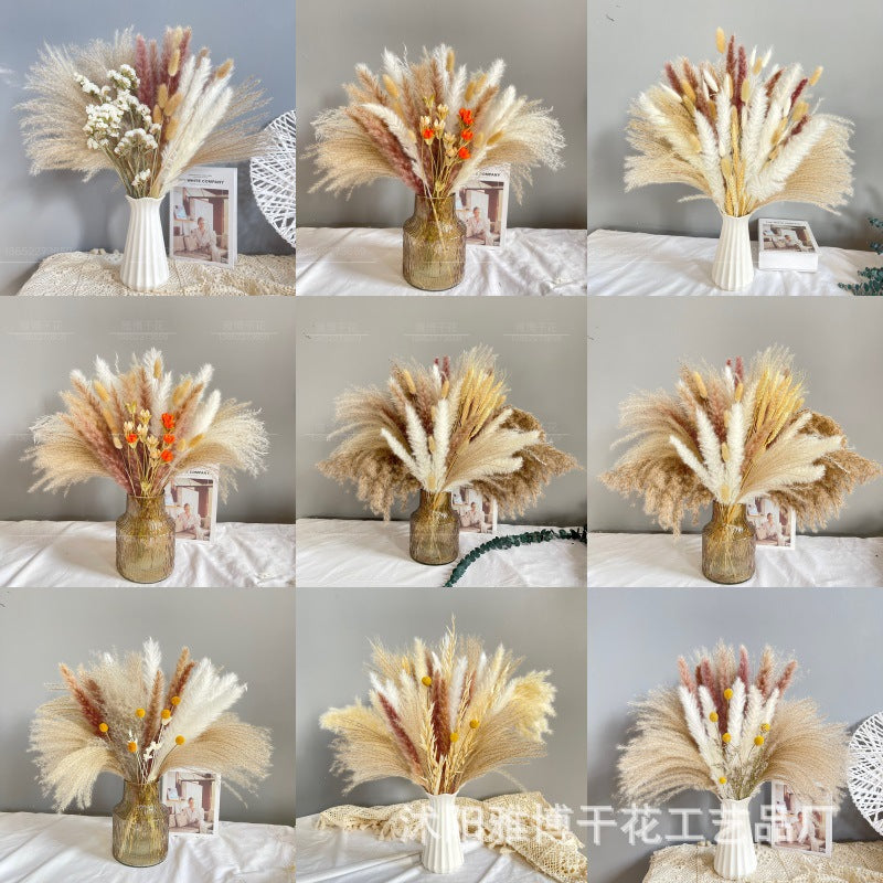 Pampas Dried Flower Bouquet Decoration Shooting Props