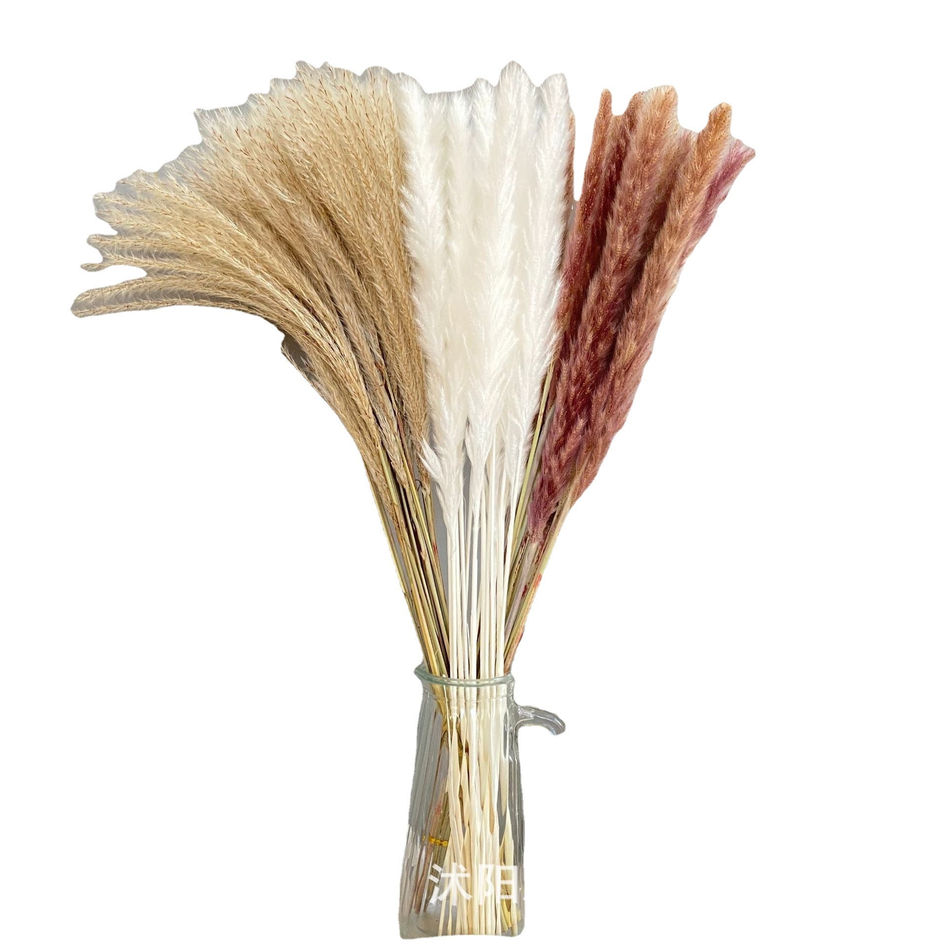 Pampas Dried Flower Bouquet Decoration Shooting Props